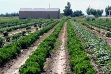 Photo property of Southeastern Colorado Water Conservancy District