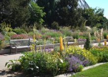 Roads Water-Smart Garden at the Denver Botanic Garden