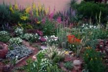 Barnett Garden, Pueblo Colorado