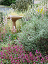 SECWCD Xeriscape Demonstration Garden