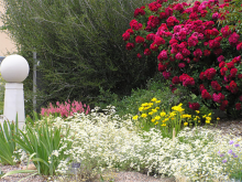 SECWCD Xeriscape Demonstration Garden
